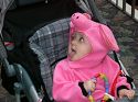 Click here to see the picture (piggie2.jpg)