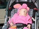 Click here to see the picture (piggie3.jpg)