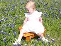Click here to see the picture (field.jpg)