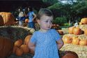Click here to see the picture (Punkin01.jpg)