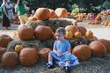 Click here to see the picture (Punkin02.jpg)
