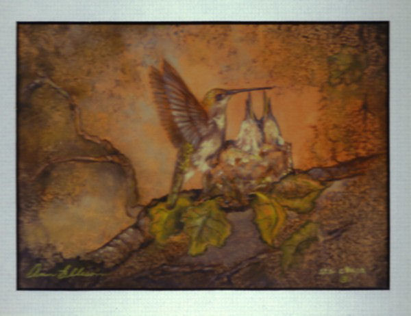 Hummingbird feeding babies in nest Print