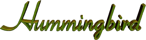Hummingbird written in script