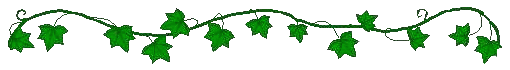 Ivy Line