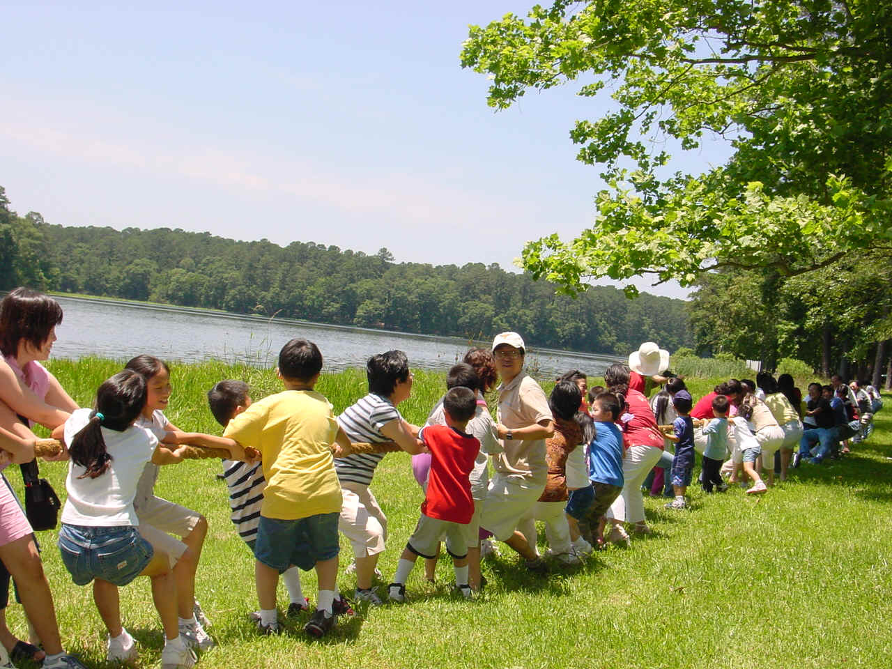 Tug of war.jpg (601859 bytes)