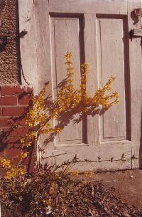 house01.jpg (16854 bytes)