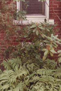 house10.jpg (16482 bytes)