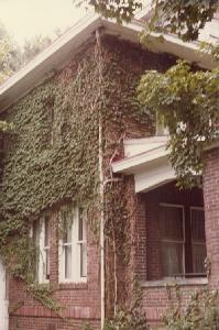 house11.jpg (16184 bytes)