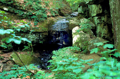 waterfall in tributary of 
Hurricane Creek