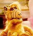 alf