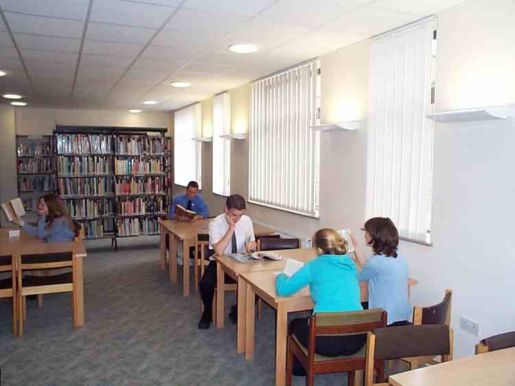Studying in the library