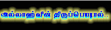 In the name of ALLAH, the merciful, the compassionate