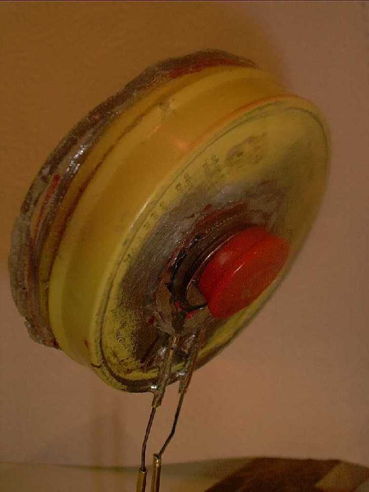 FCFDFP back view