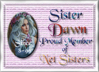 net sisters logo