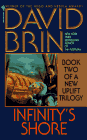  Infinity's Shore  by  David Brin 