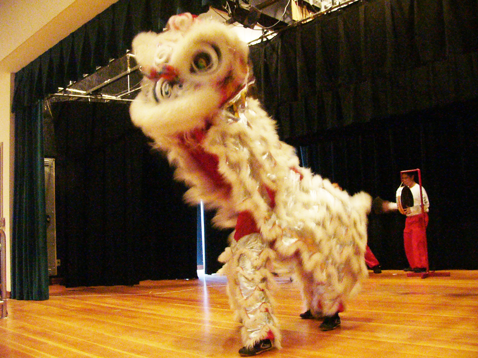 Chinese New Year Celebration4
