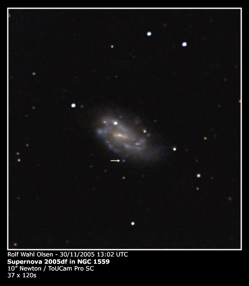 Supernova 2005df in NGC1559