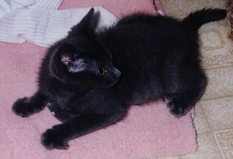 Mr. B - 3