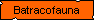 Batracofauna