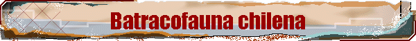 Batracofauna chilena