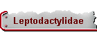 Leptodactylidae