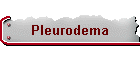 Pleurodema