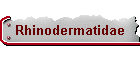 Rhinodermatidae