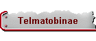 Telmatobinae