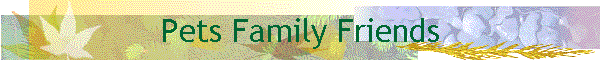 Pets Family Friends