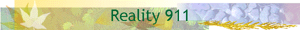 Reality 911