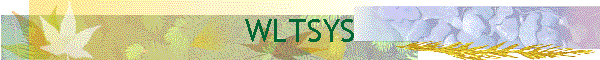 WLTSYS