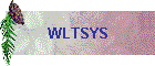 WLTSYS