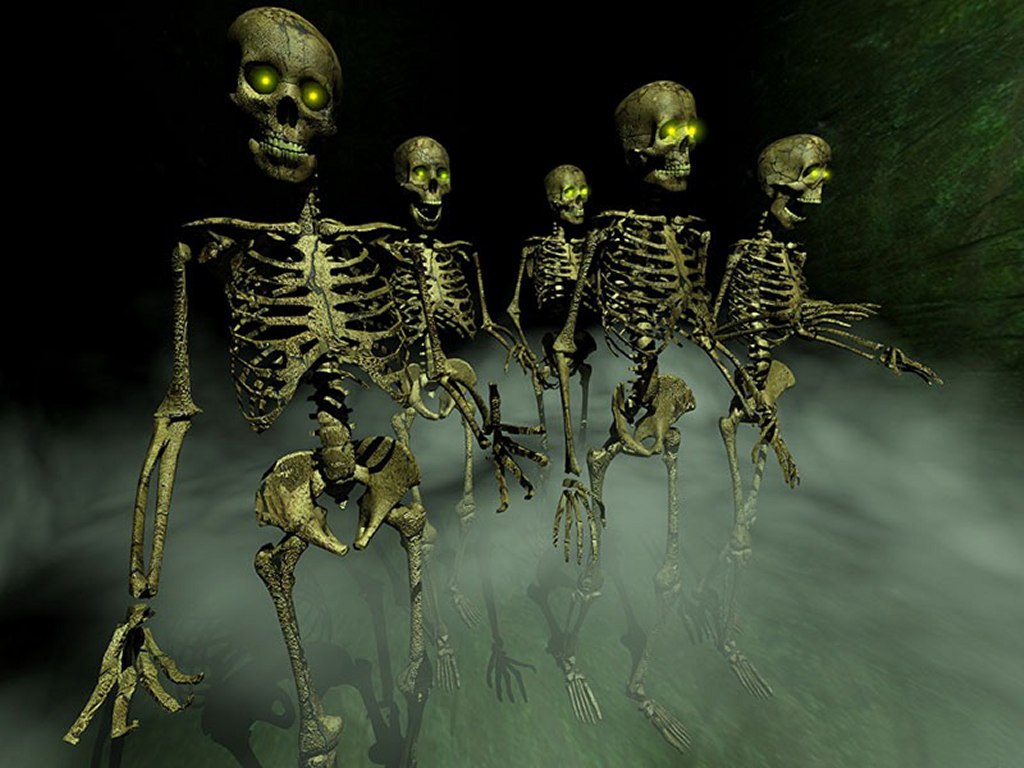 skelet.jpg  (129,2 Kb)