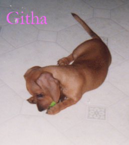 Githa