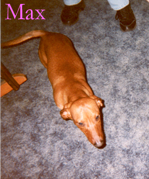 Mighty Max