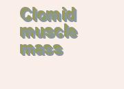 clomid late period