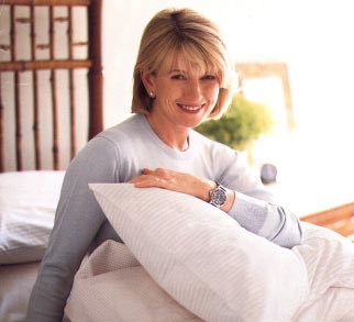 pillow.jpg (21084 bytes)