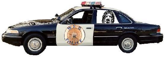 policar.jpg (21560 bytes)