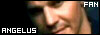[BtVS] & [A:ts] Angelus Fan