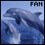 Dolphins, I Love 'em!