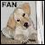 Labrador Fan