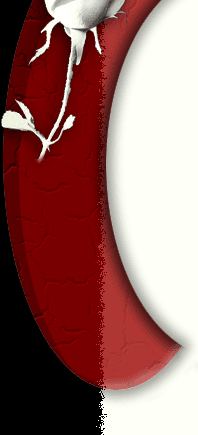 this rose is for you