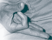 Raja Yoga Pranayama