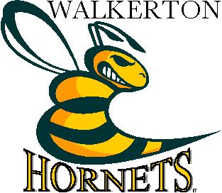 Walkerton Hornets