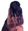 bayhead