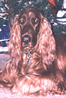 Madison