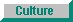 Japanese Culture & Interests 