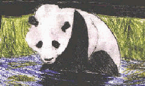 Maries' Panda Picture