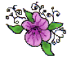 purple flower