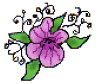 purple flower